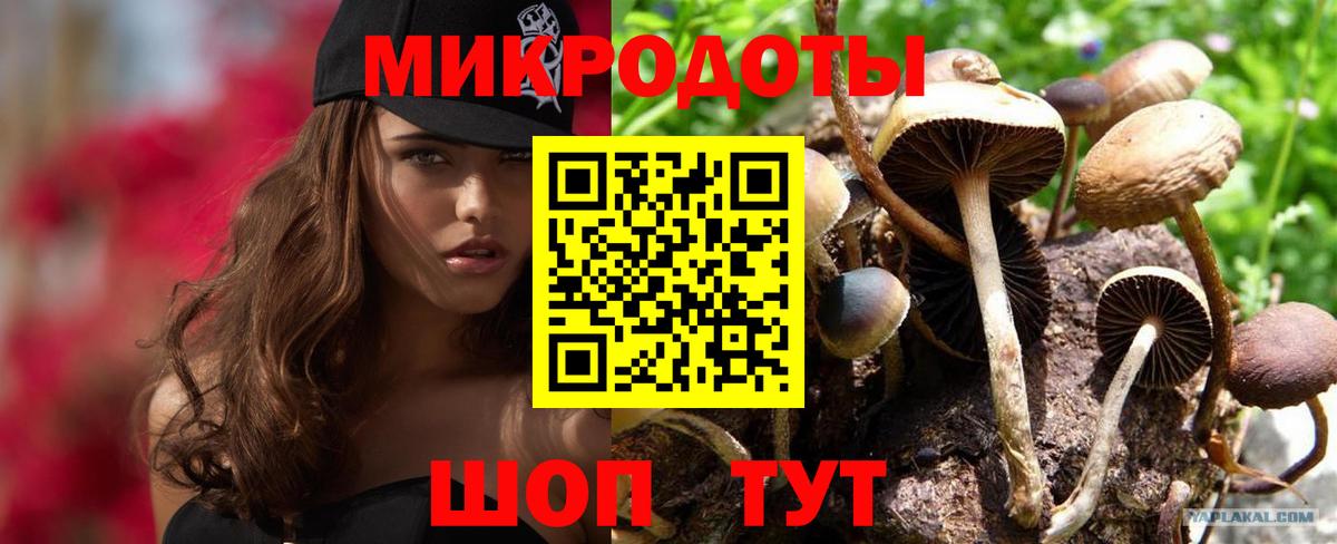 Галлюциногенные грибы Psilocybe Оренбург